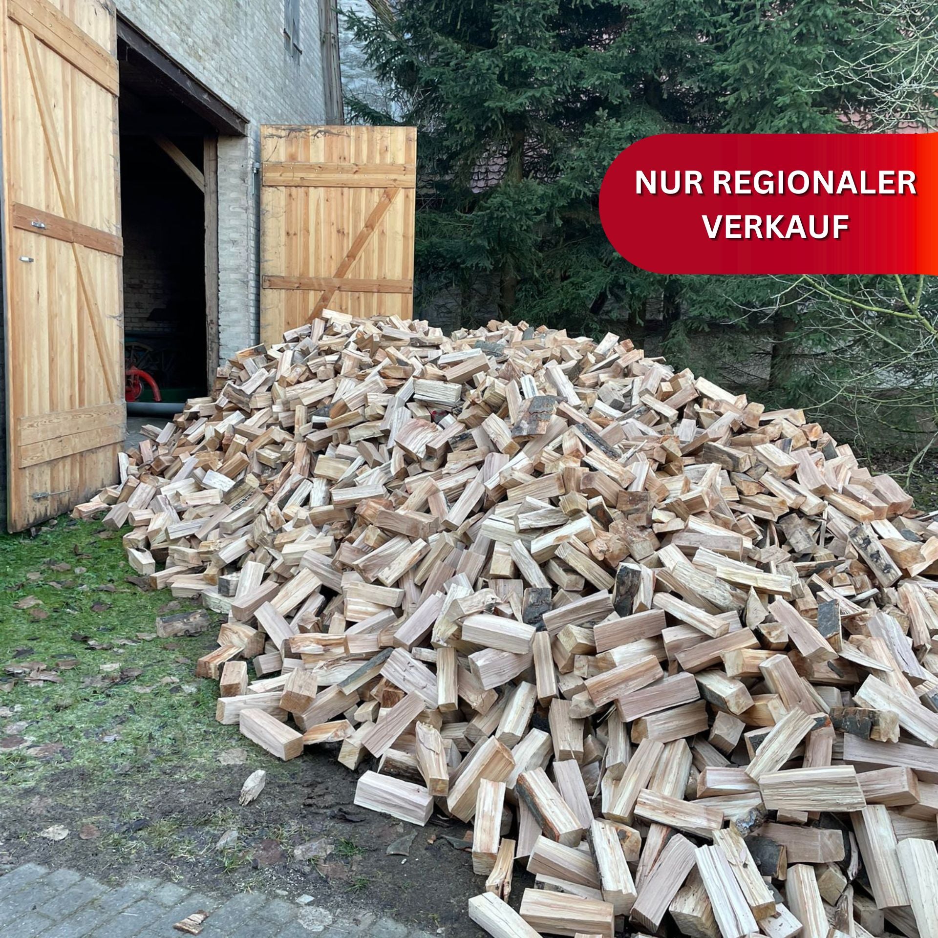 Brennholz Buche 1 SRM kammergetrocknet (NUR REGIONALER VERKAUF)