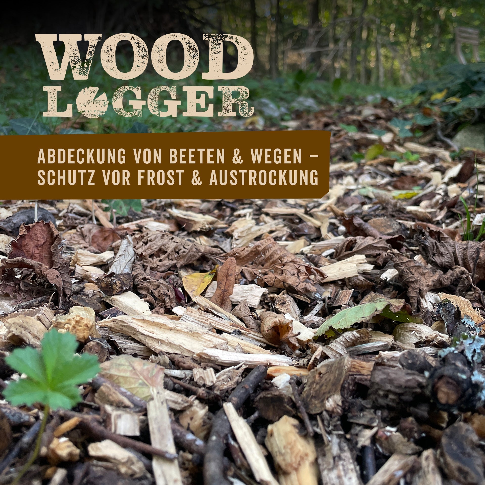 Hackschnitzel im 100 L Karton