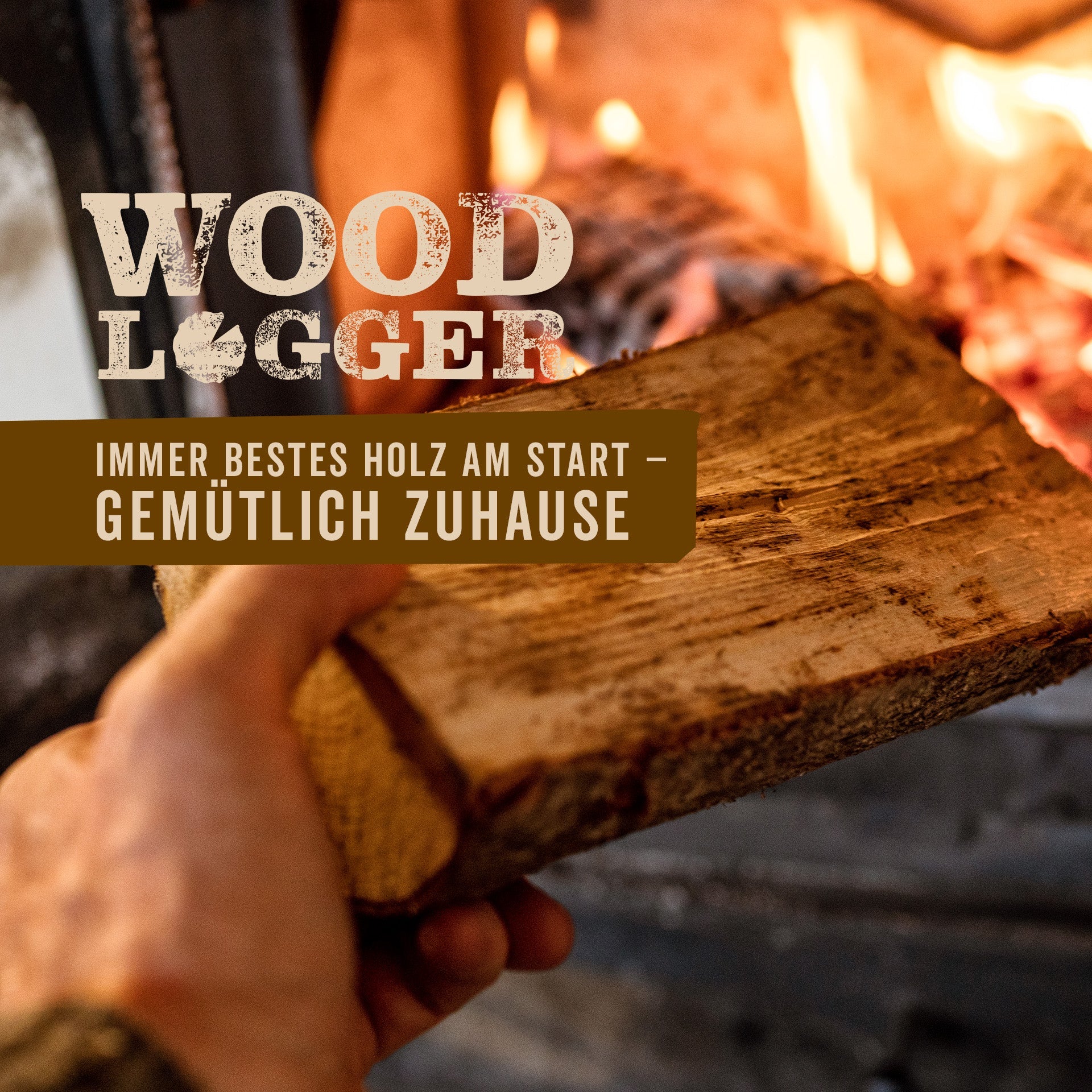 Brennholz Buche 1 SRM kammergetrocknet (NUR REGIONALER VERKAUF)