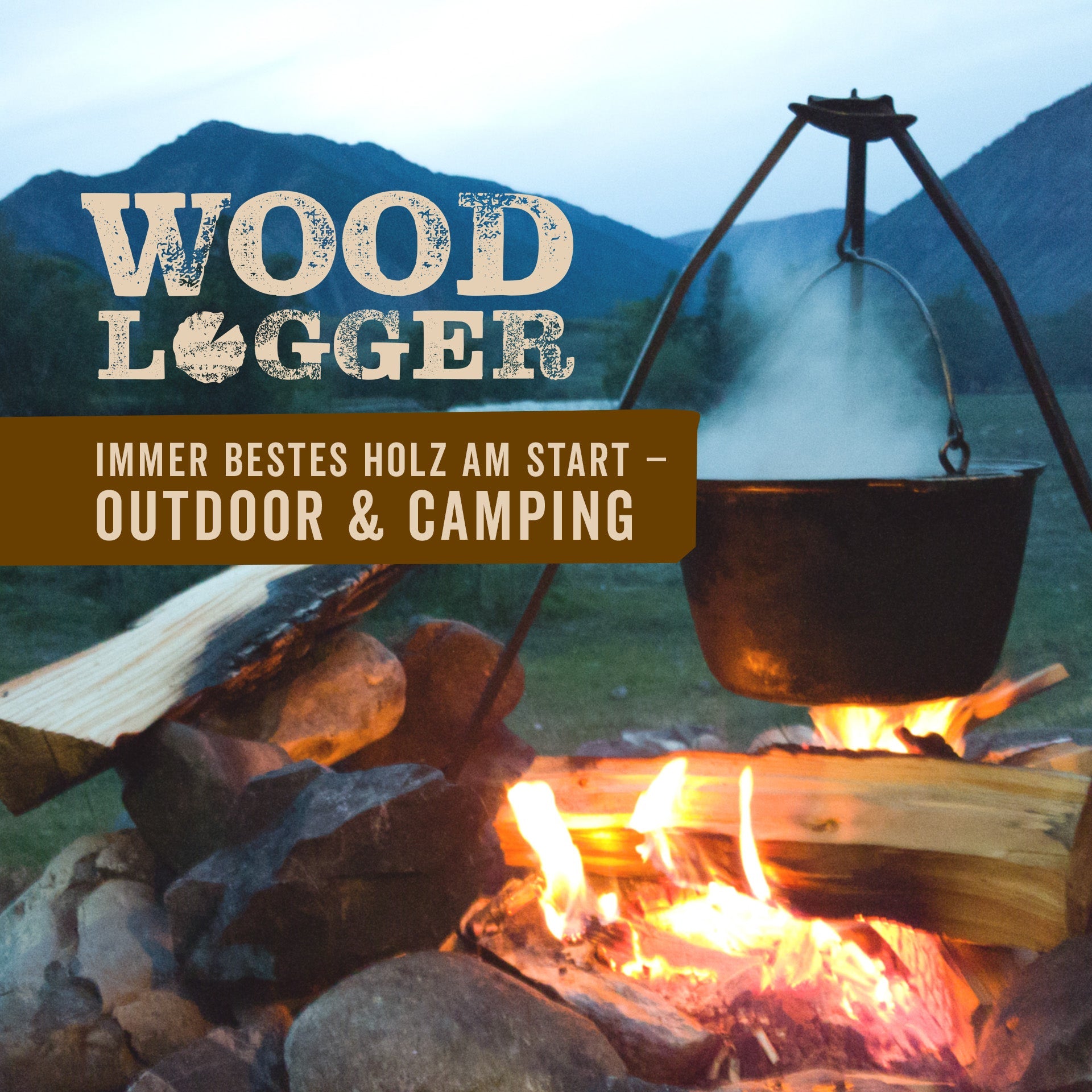 Brennholz Buche 1 SRM kammergetrocknet (NUR REGIONALER VERKAUF)