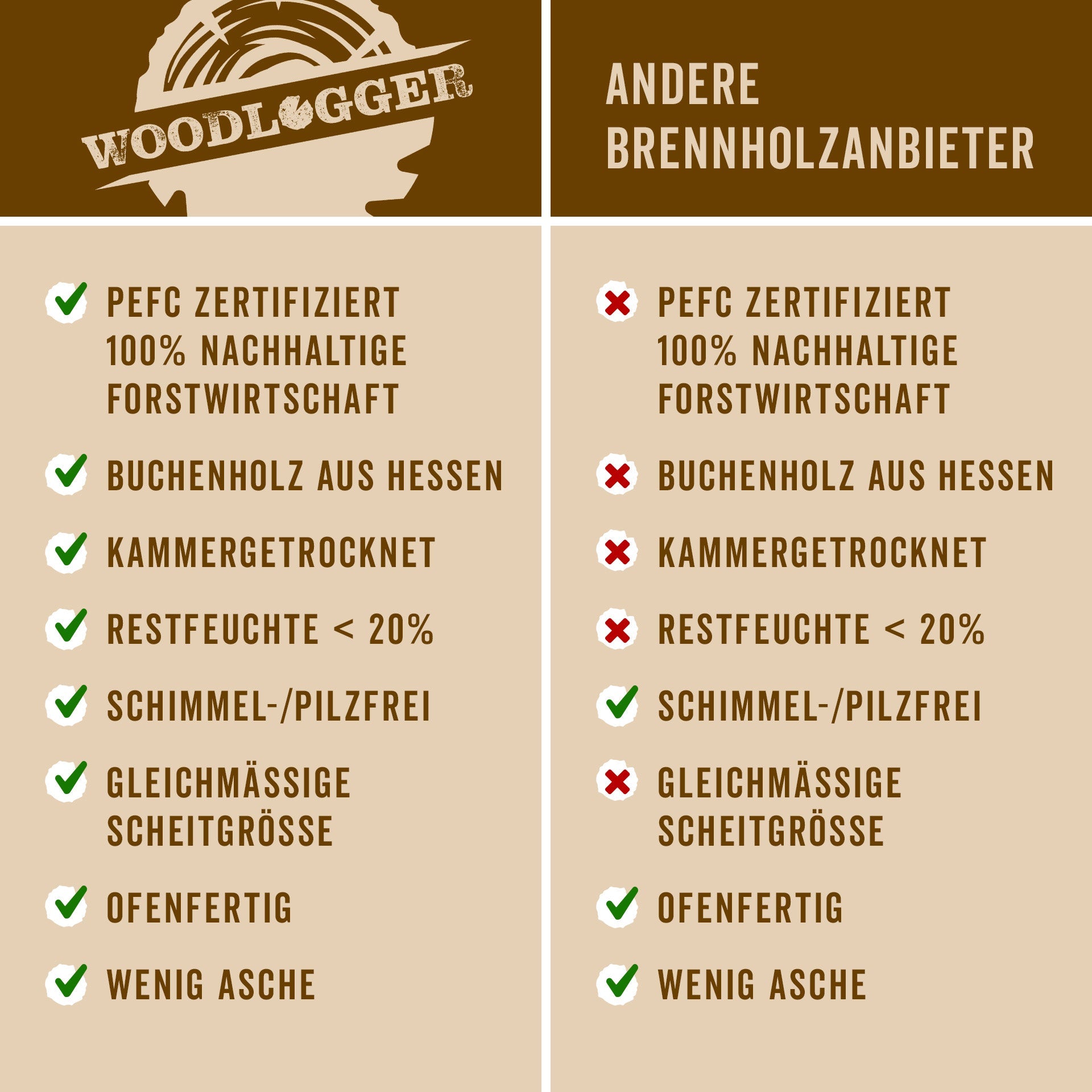 Brennholz Buche 1 SRM kammergetrocknet (NUR REGIONALER VERKAUF)